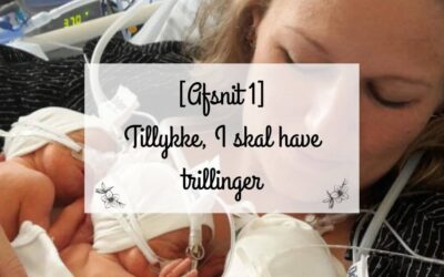 [Afsnit 1] Tillykke, I skal have trillinger!2